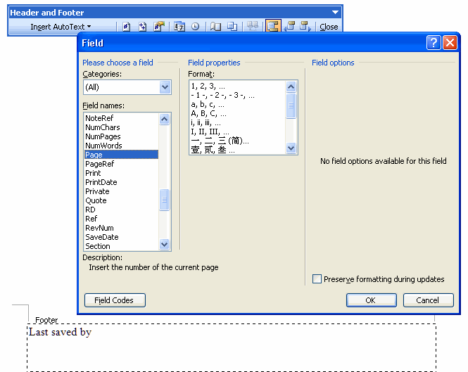 Figure: Word's Header and Footer fields