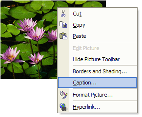 Figure: Microsoft Word's image pop-up menu includes Caption command